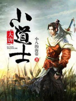 大唐小道士 琴心峰主