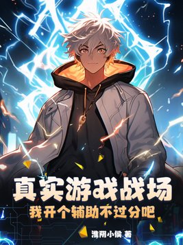 真实游戏战场,我开个辅助不过分吧TXT