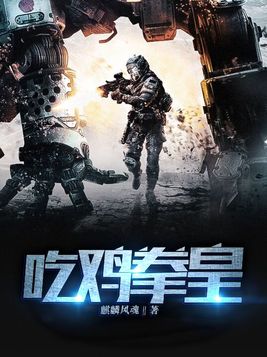 吃鸡拳皇 小说