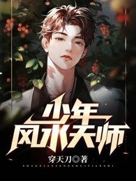 少年风水师一