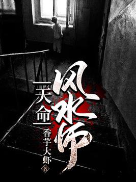 天命风水师 一飞冲天