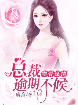 噬骨谋情:总裁逾期不候 南音