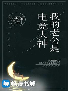 我的老公是电竞大神免费阅读