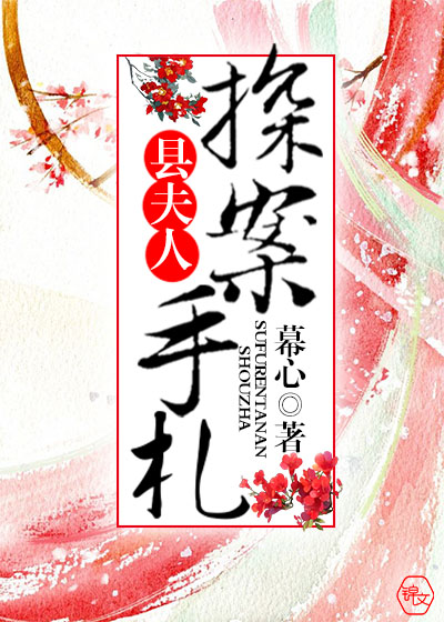 县夫人探案手札 小说