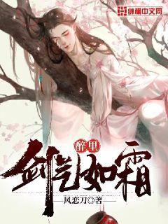 醉里,剑气如霜 风恋刀