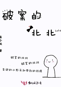 破案的北北林锦奕容南