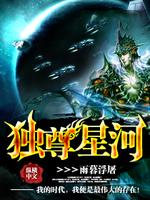 独尊星河小说