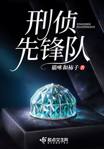 刑侦先锋队 猫咪和柿子讲什么