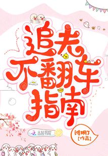 追夫不翻车指南免费阅读