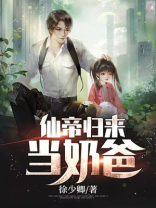 无敌仙帝归来当奶爸