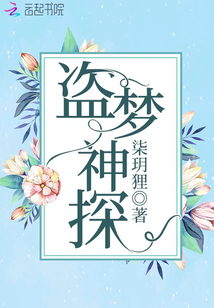 盗梦神偷