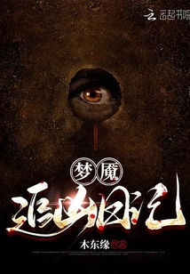 大理寺追凶日记密码