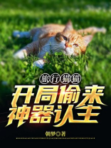 旅行 猫