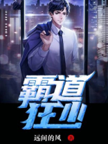 霸道狂少的追妻日常