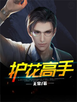 护花高手在都市等级划分