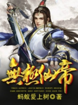 无极仙帝叶无极重生到叶尘