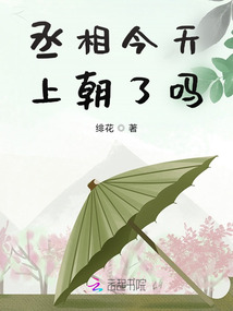 丞相今天上朝了吗免费阅读笔趣阁