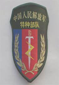 你的青春我的军营