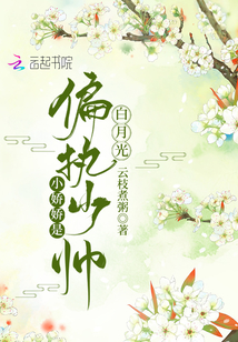小娇娇是偏执少帅白月光孤勇