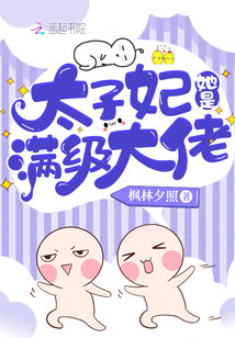 太子妃她是满级大佬 小说