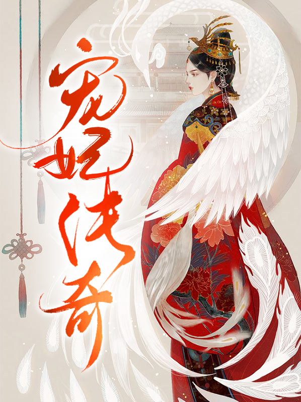 宠妃传奇小说