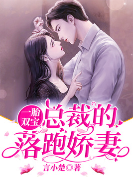 一胎双宝：总裁的落跑娇妻