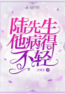 陆先生他想