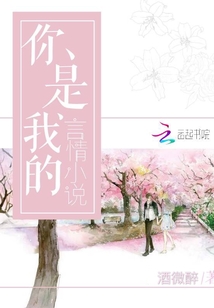 你是我藏在风里的喜欢是言情小说吗