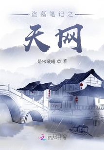 天网盗墓全集央视网