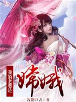 我的老婆是嫦娥作者:若能归去
