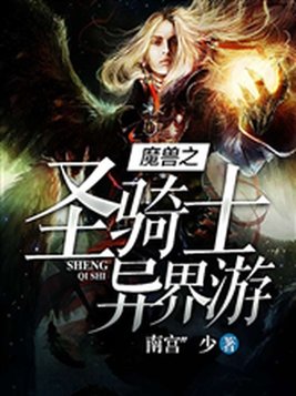 魔兽之圣骑士异界游TXT下载
