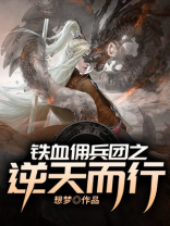 铁血佣兵在都市 小说