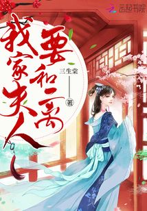我家夫人又跑了小说