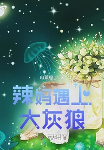 辣妈遇上大灰狼小说