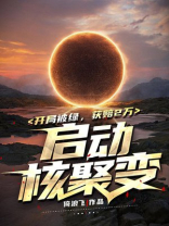 开局就造核聚变