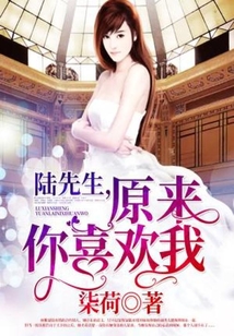 陆先生听说你喜欢我 槿郗