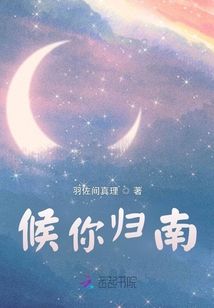 南归候鸟
