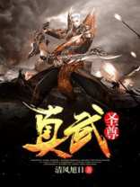 真武圣尊凌天宇与段烟然