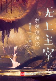 完美世界之无上主宰 小说