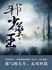 邪少药王下载