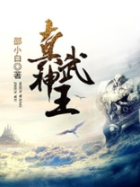 小说真武神王