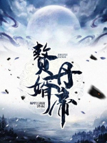 赘婿丹帝等级划分