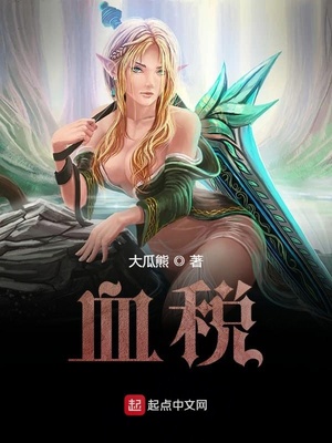 血税小说讲的是什么