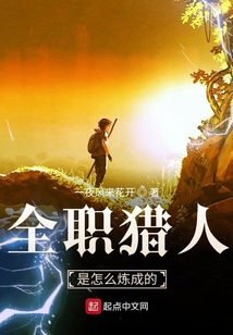 全职猎人TV版怎么不更新了