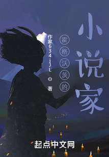 霍格沃茨的小说家TXT