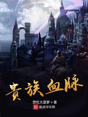 绯色回响贵族血脉