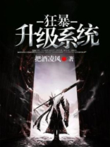 超越狂暴升级系统