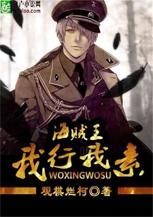海贼王之我仍是我