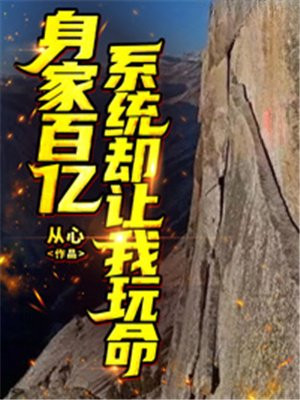 身家百亿什么概念