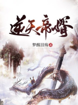 逆天帝婿TXT下载